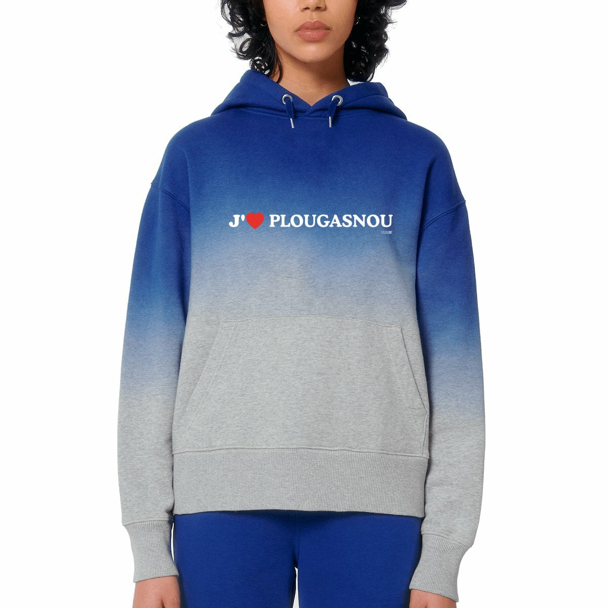 visual_Bleu