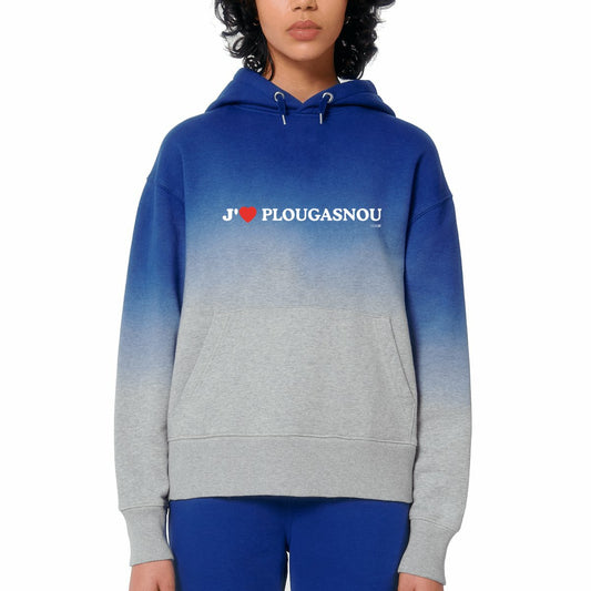 visual_Bleu